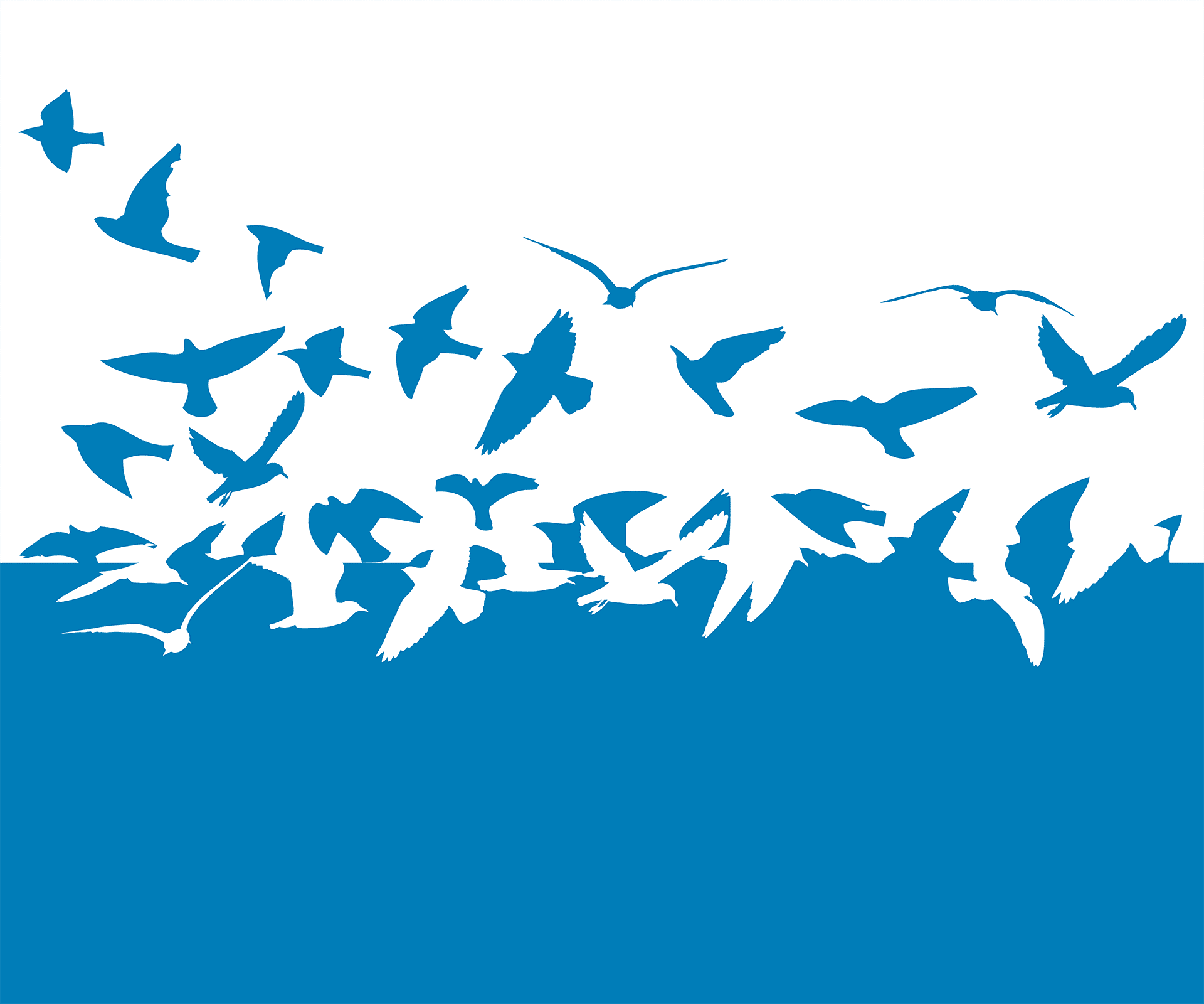 Plave ptice