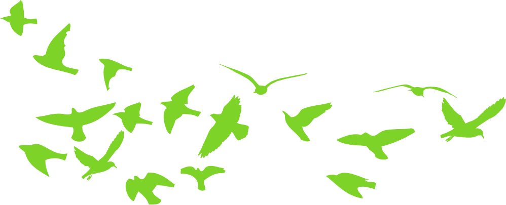 Zelene ptičice
