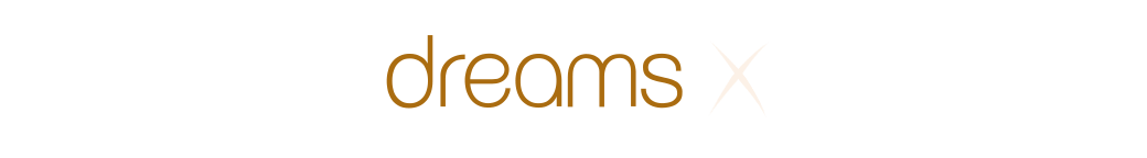 Perfecta Dreams X Story collab logo